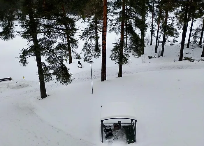 Appartement Kylpylae- Oy Ikaalisten Kylpylae *